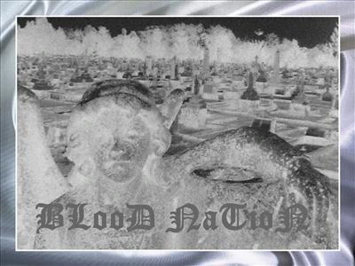 Blood Nation