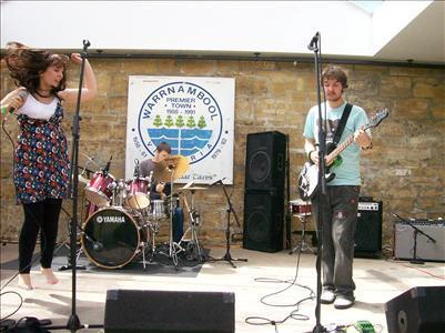 The Common Seabirds