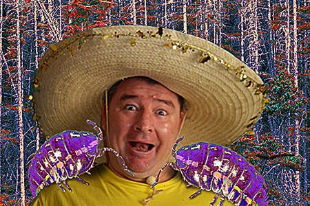 Wayne Austin