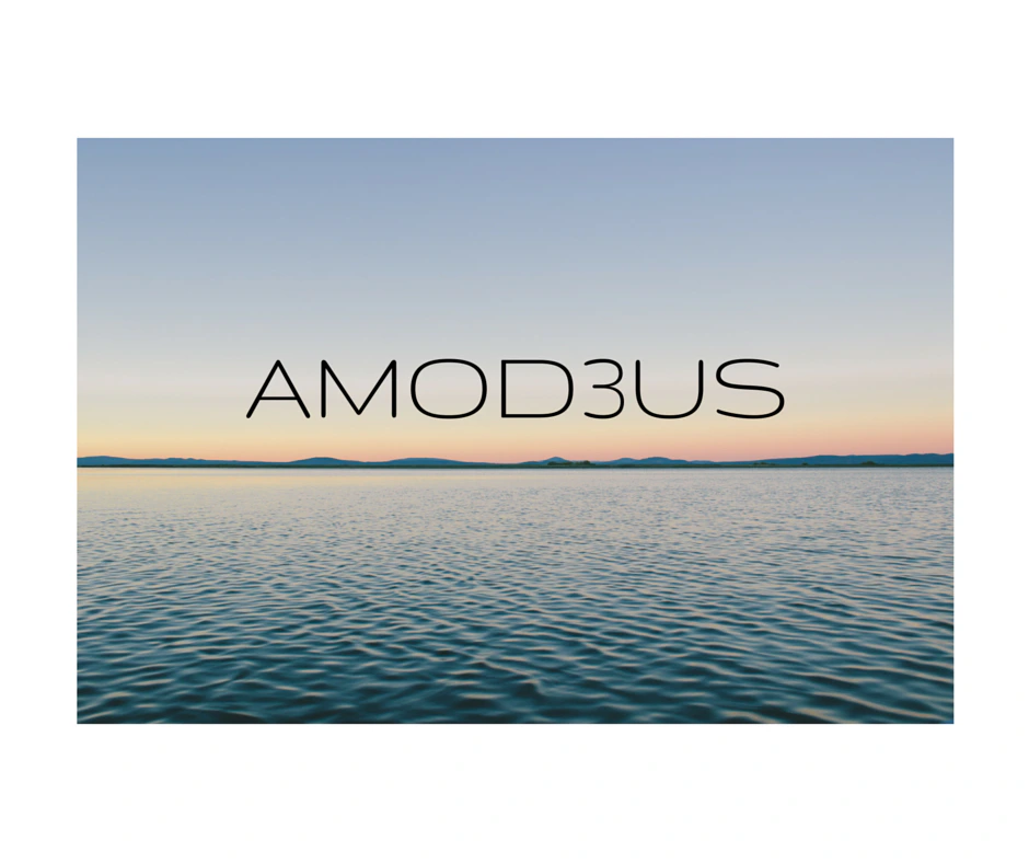 AMOD3US