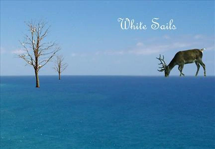 White Sails
