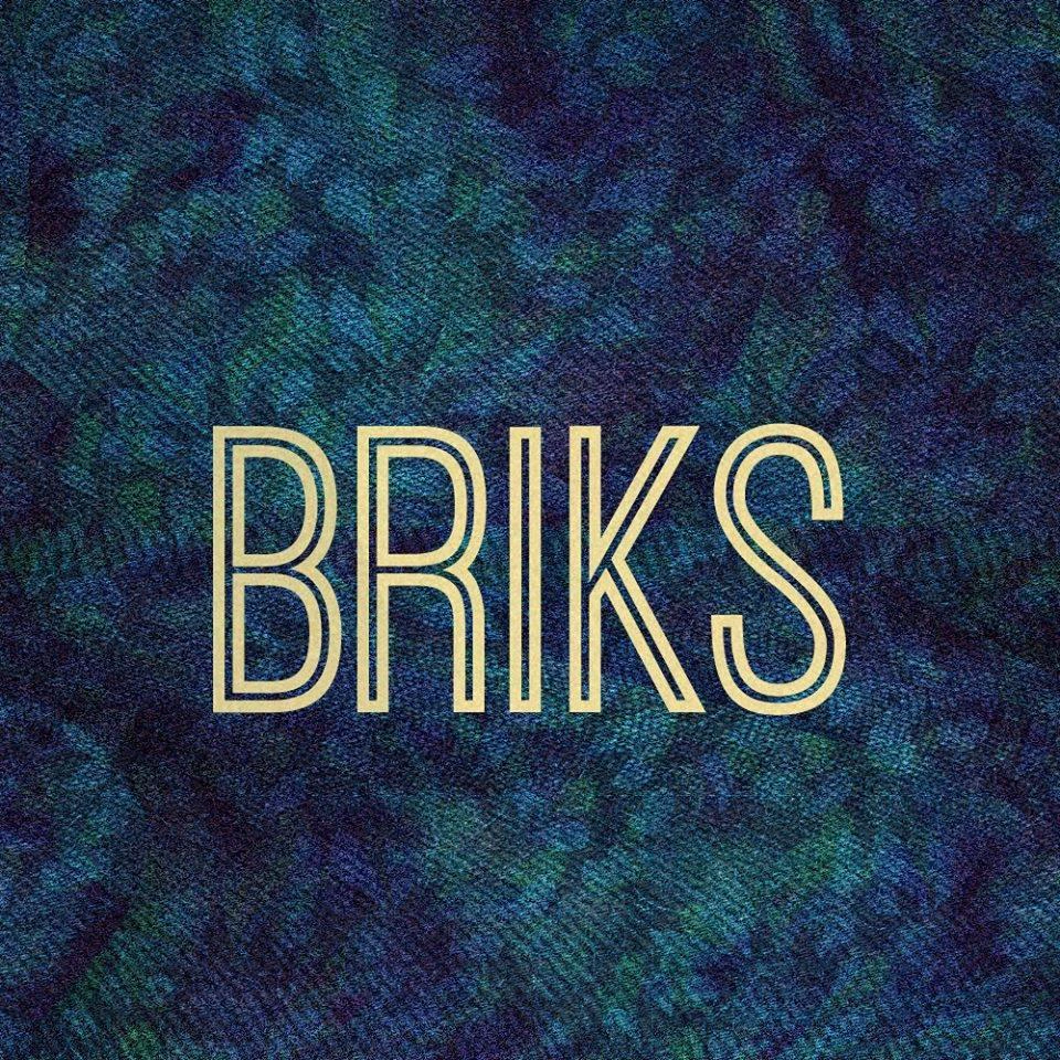 BRIKS