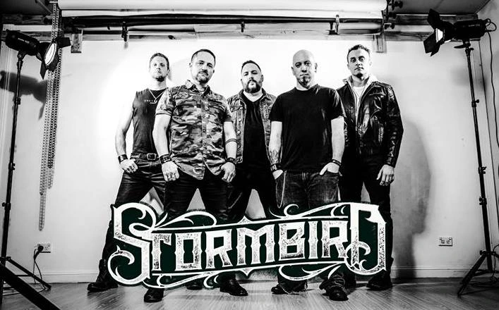 Stormbird