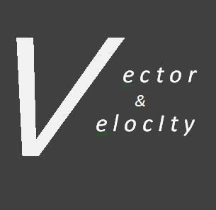 Vector & Velocity