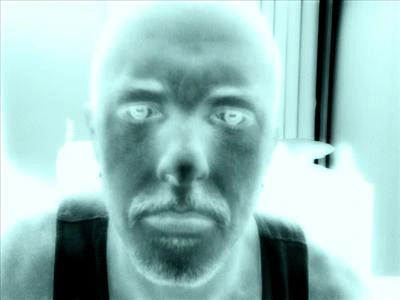 electronic lifeform