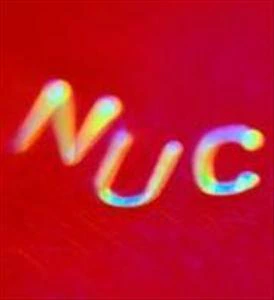 No Use Cathedral