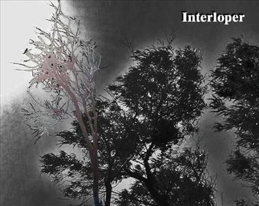 Interloper