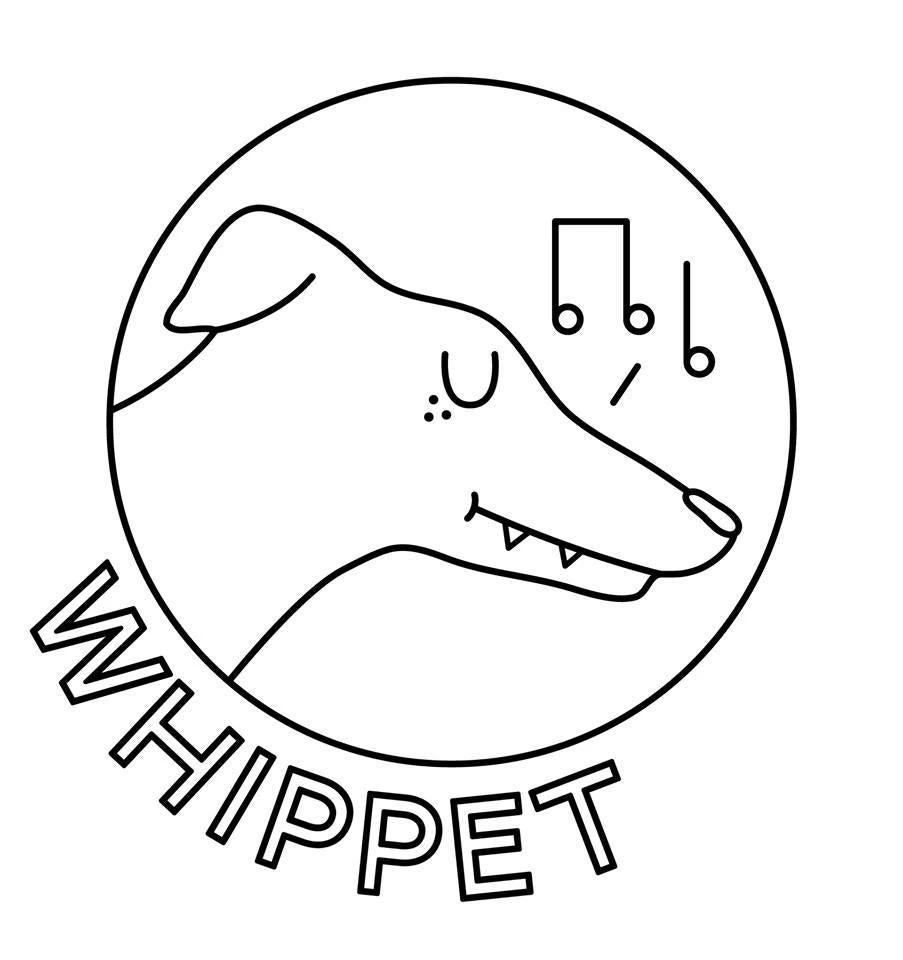 Whippet