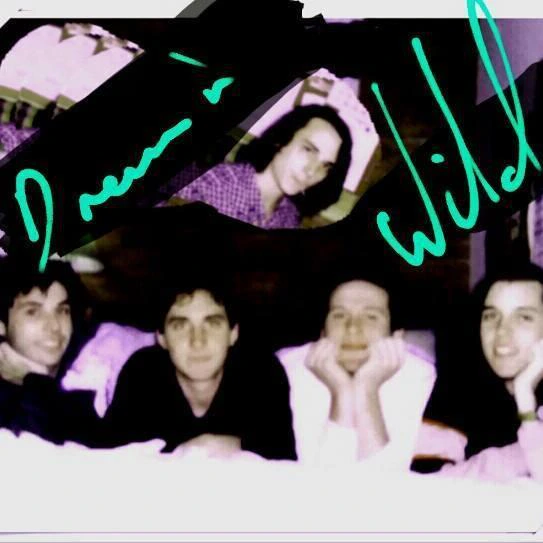 Dreamin' Wild