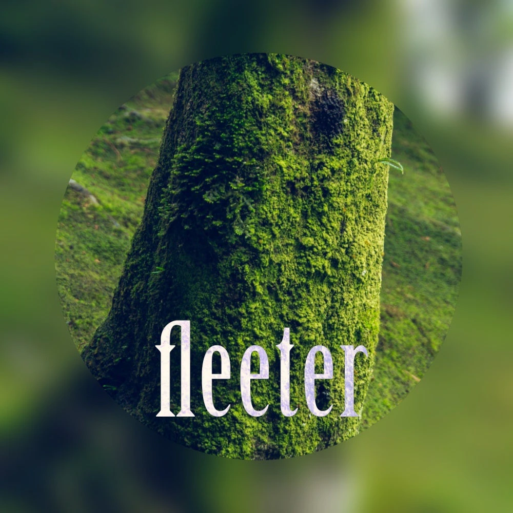 Fleeter