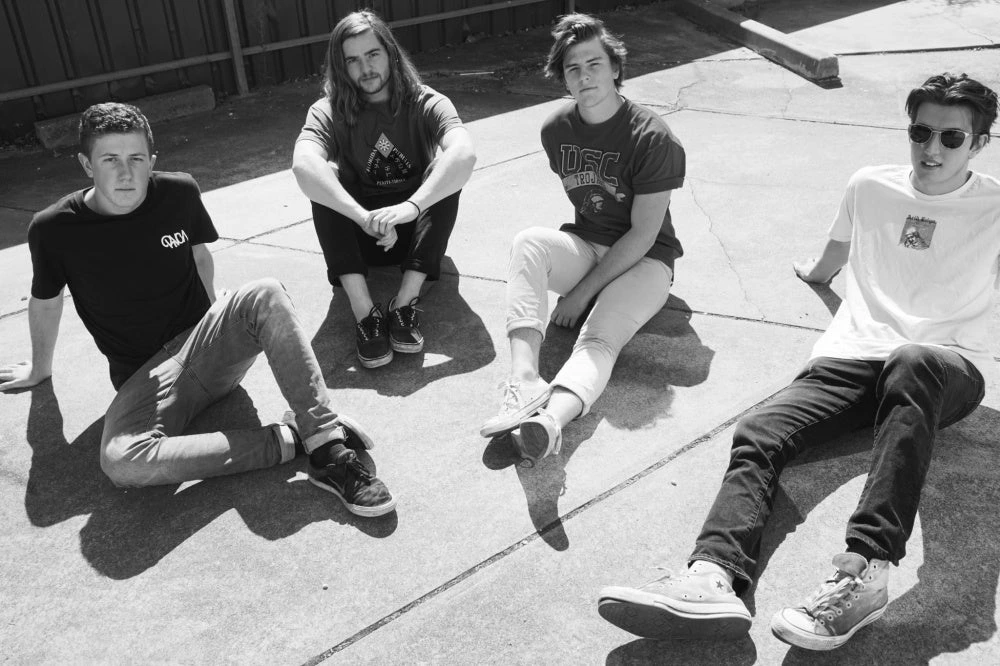 The Yardsharks