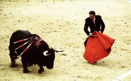 Bull Fight In Mexico