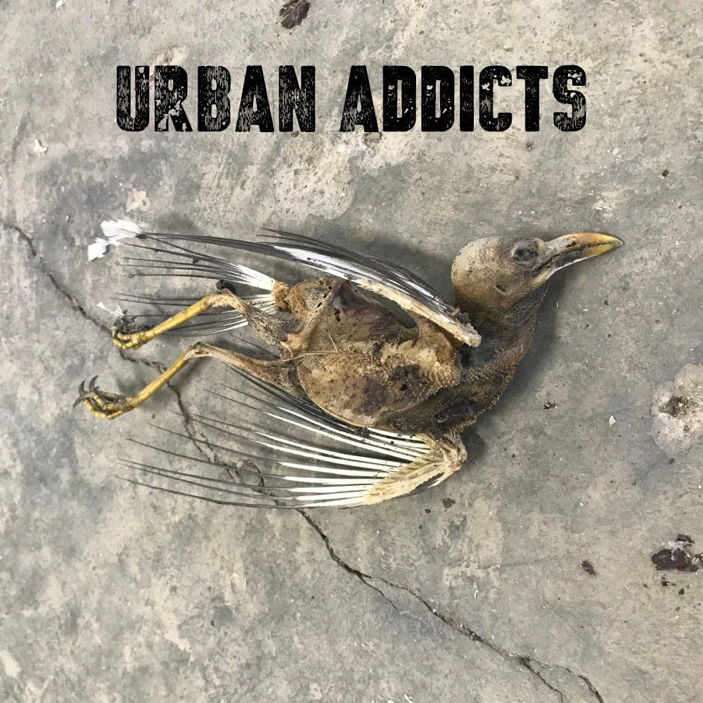 Urban Addicts