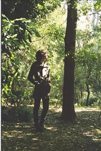 Joe Miller