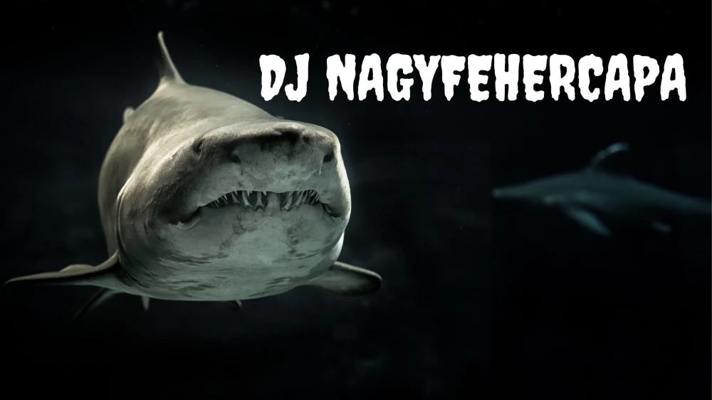DJ NagyFeherCapa