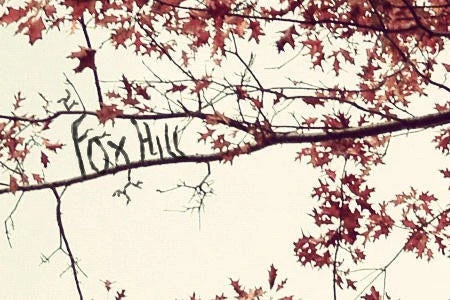 Fox Hill
