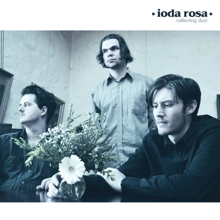 Ioda Rosa