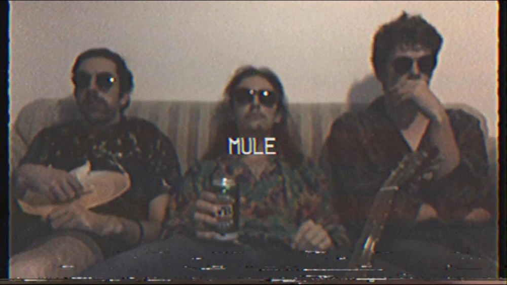 MULE