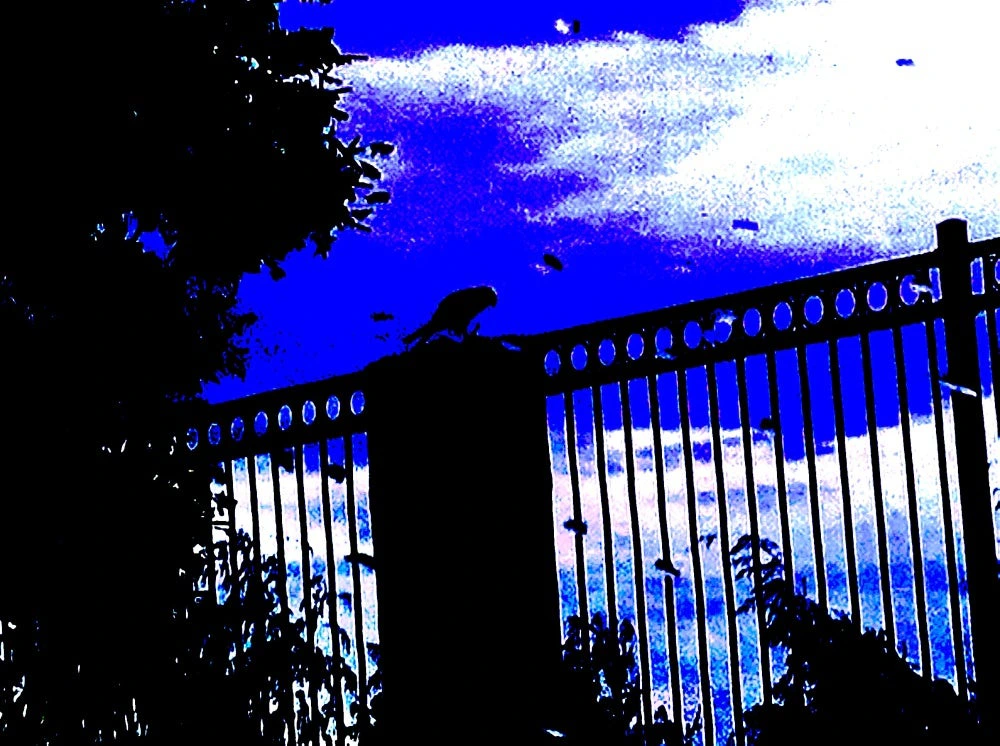 Nemesis