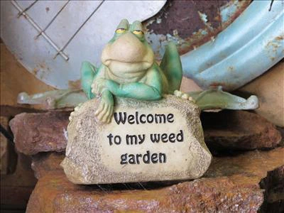 Frogotten