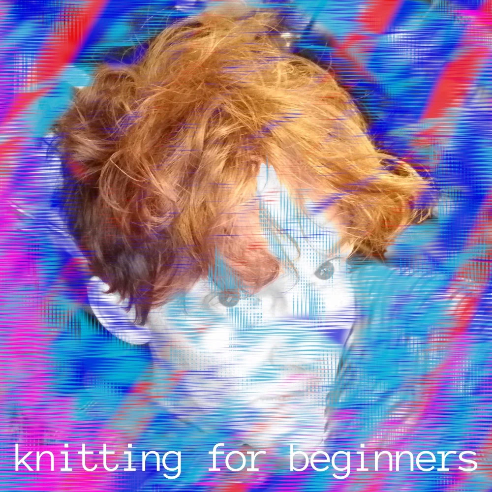 Knitting for Beginners