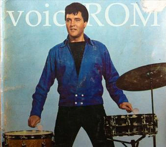 voiceROM