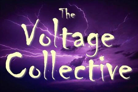 The Voltage Collective