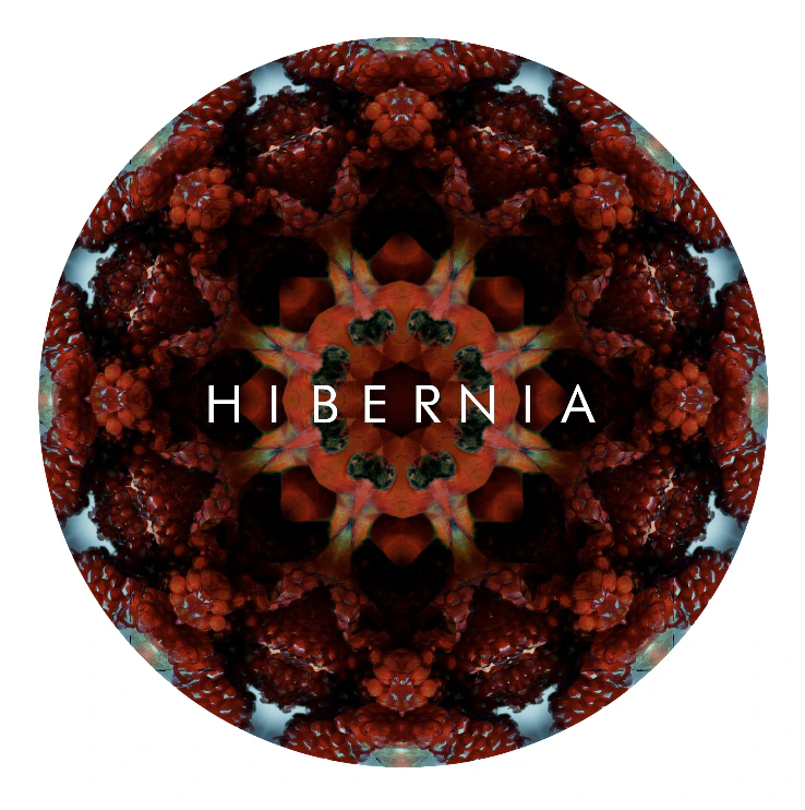 Hibernia