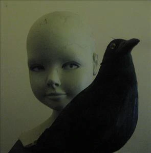 blackbeak