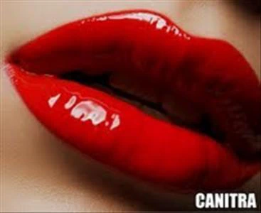 Canitra