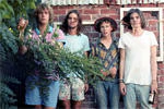 Tame Impala