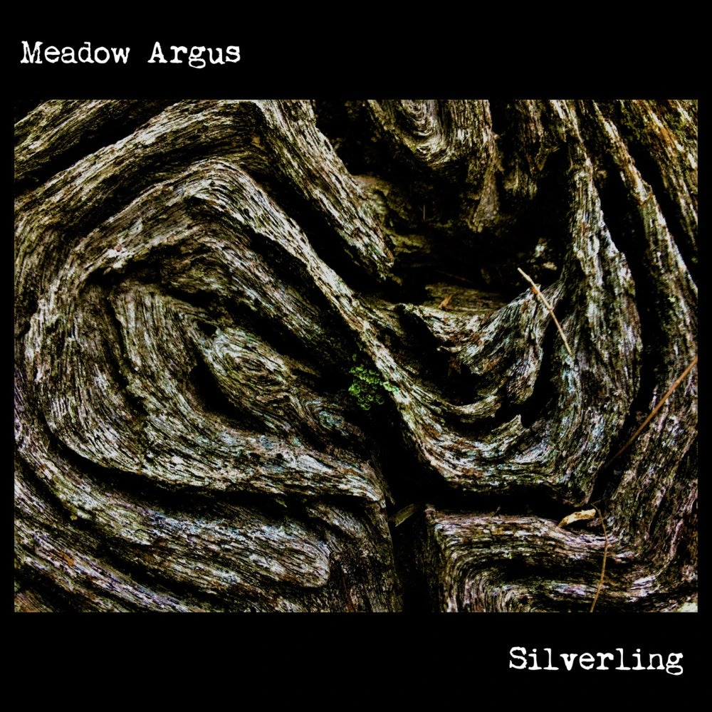 Meadow Argus