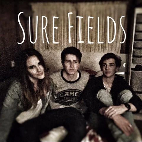 Sure Fields
