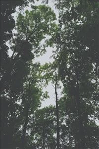 Pasco.