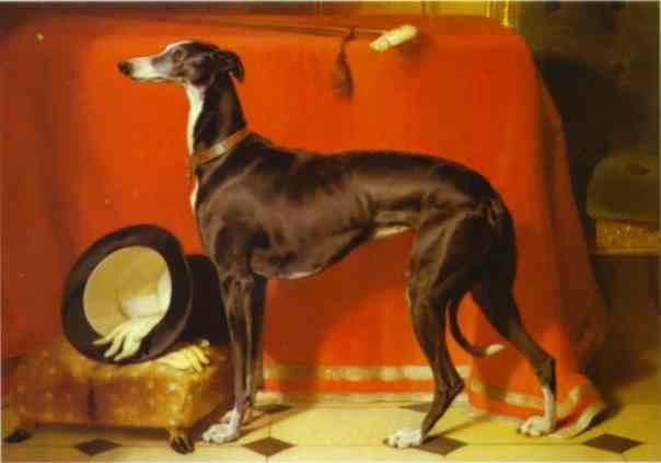 Painting of a Dog