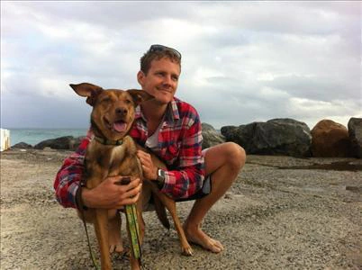 Dogs in Bali