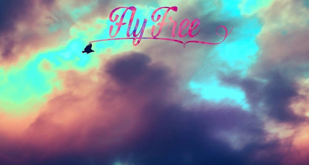 Fly Free