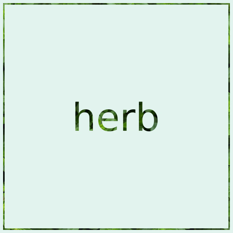 Herb