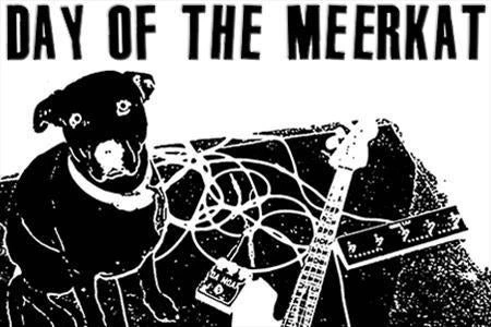 Day of the Meerkat