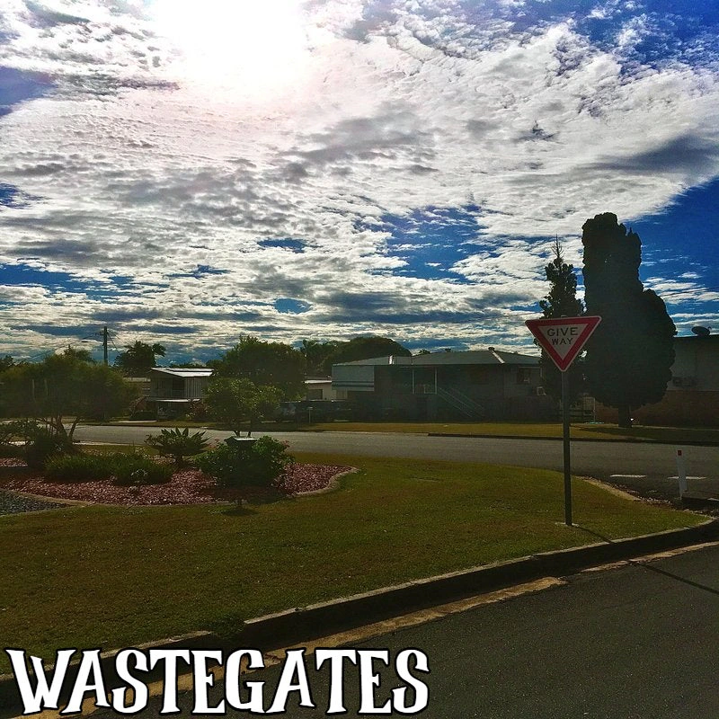 WASTEGATES