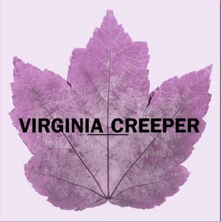 Virginia Creeper