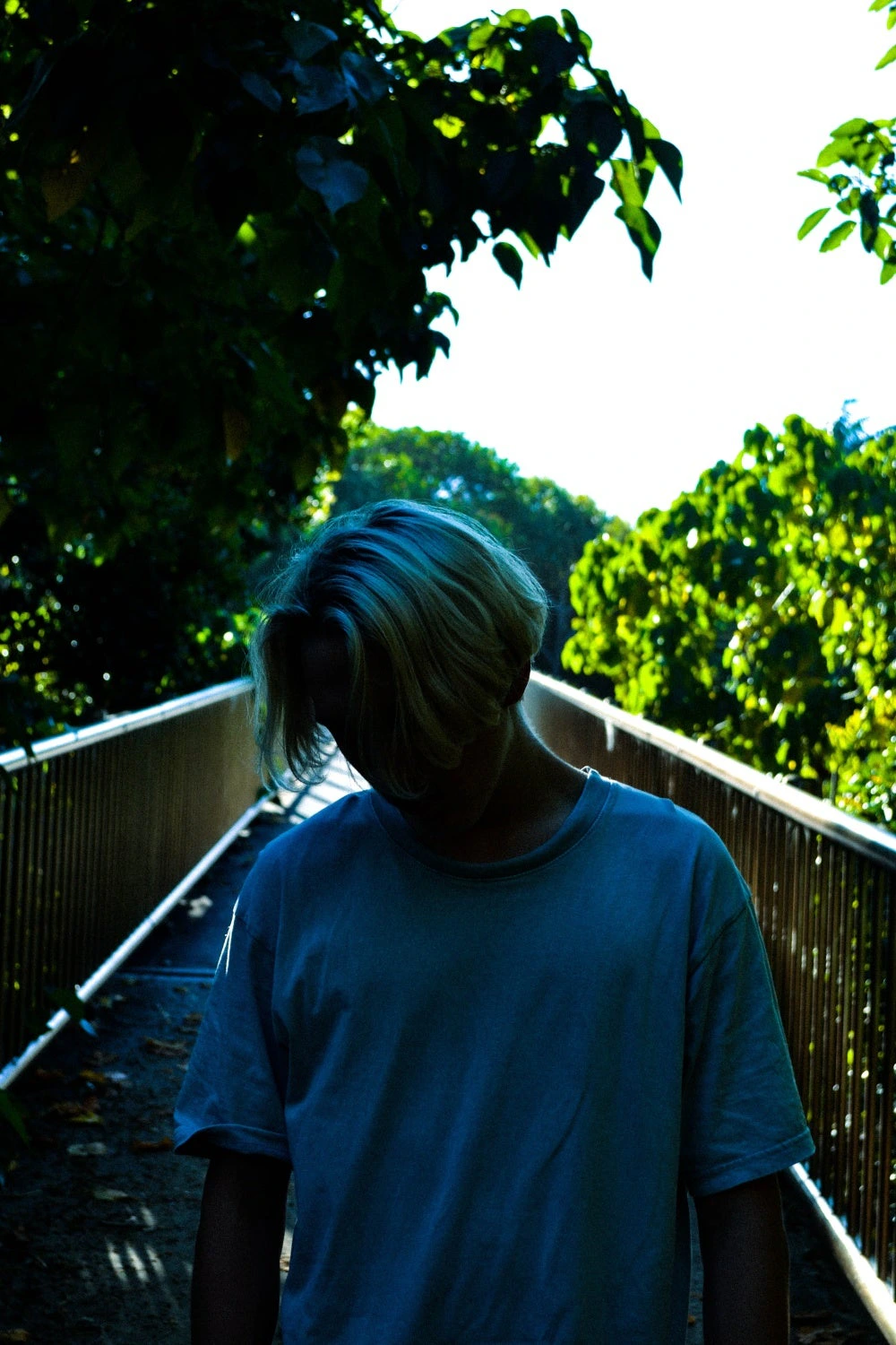 younggovita