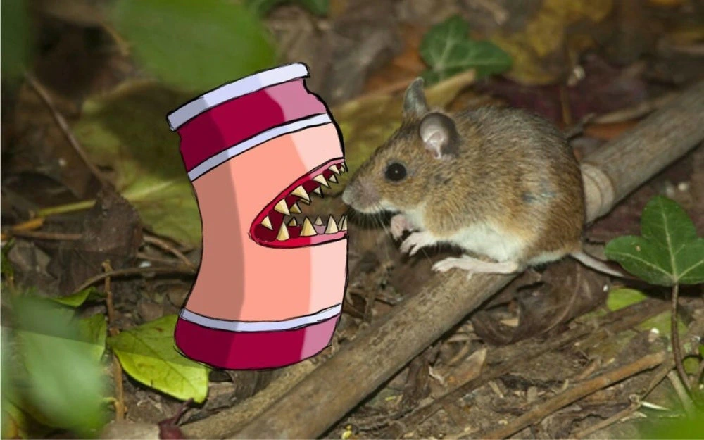 Carnivorous Jam