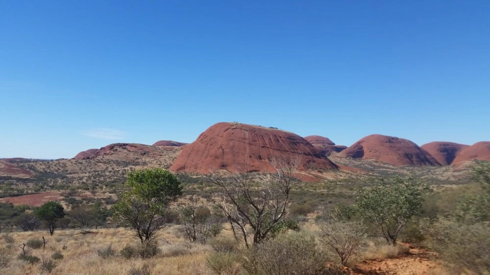 jibblets moharka