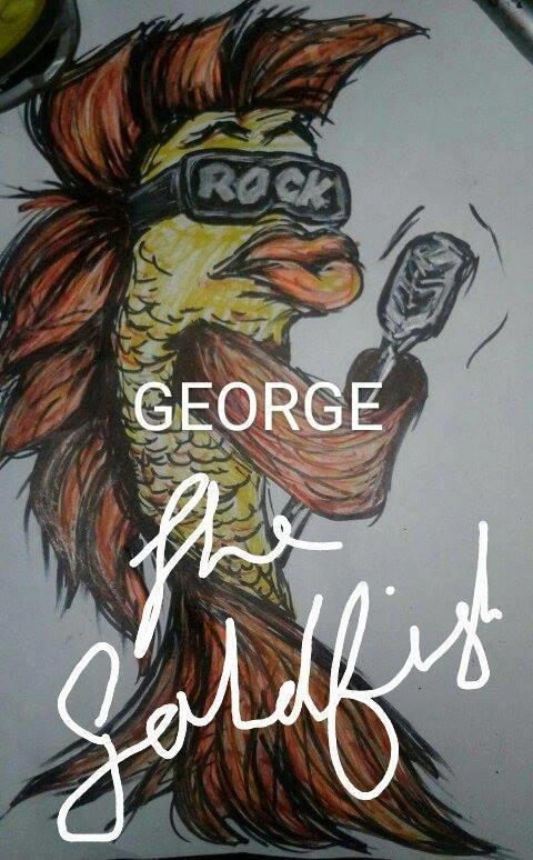 George The Goldfish