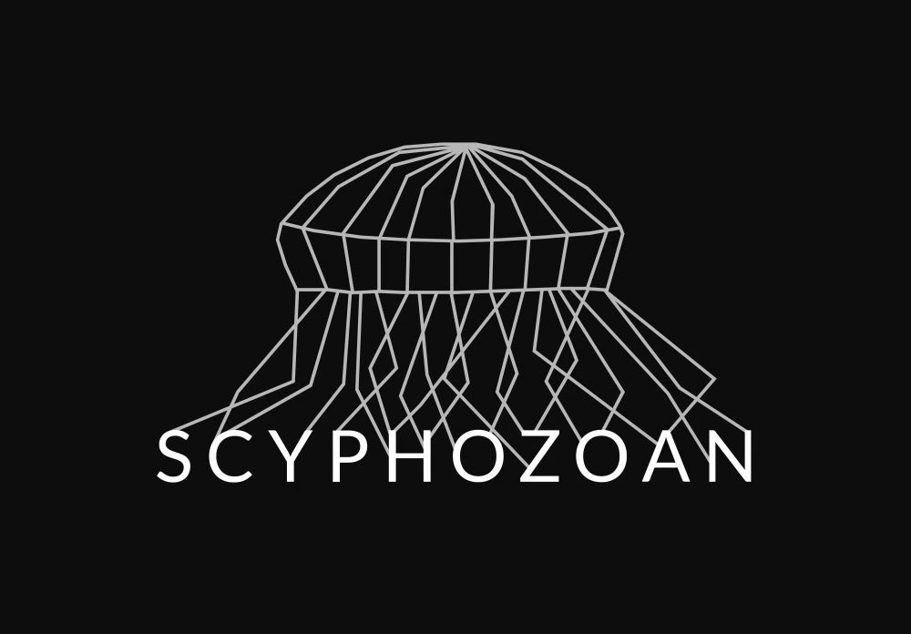 Scyphozoan