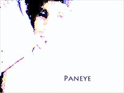 Paneye