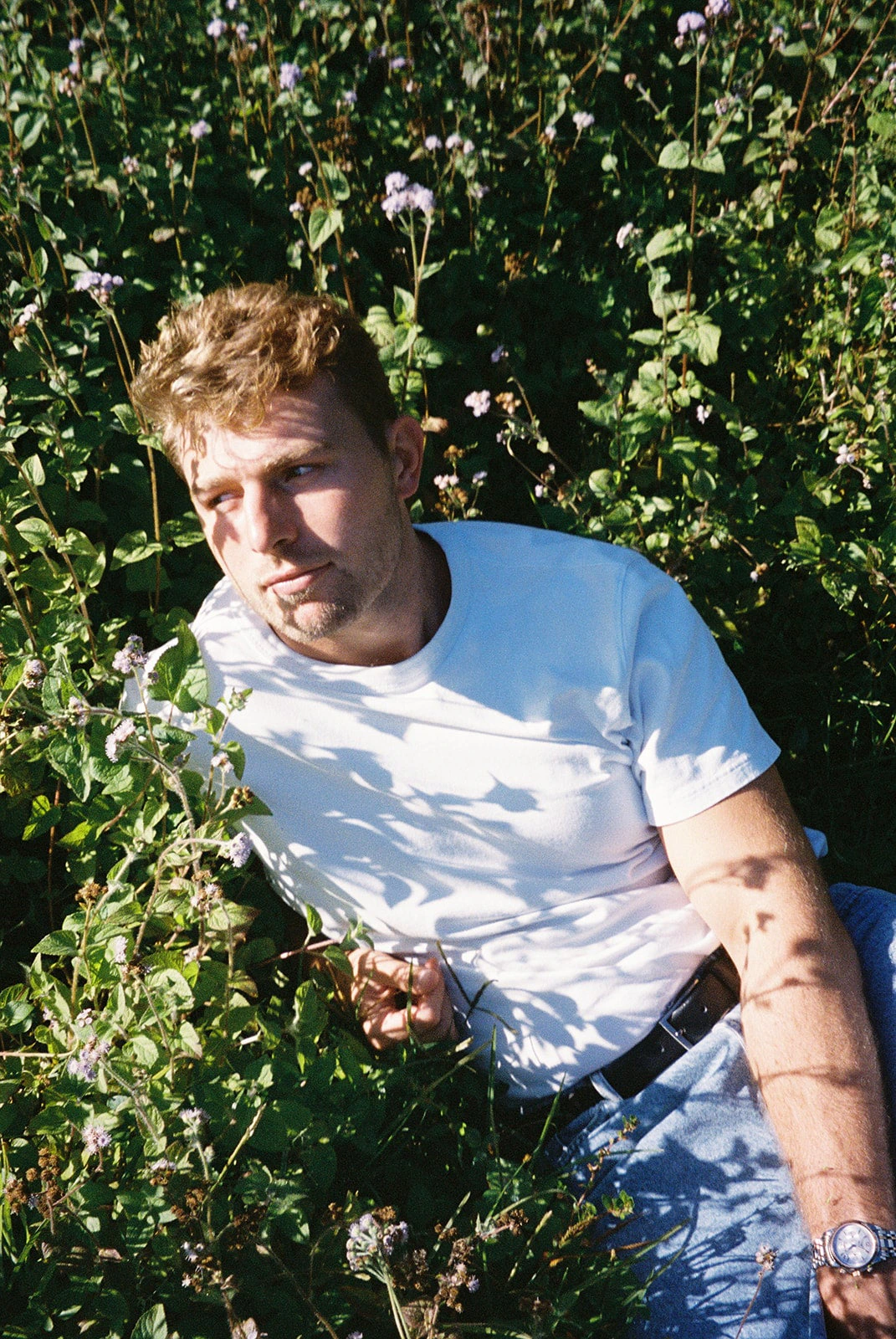 Will Clift