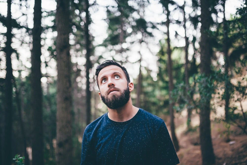 Bearoid