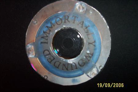Immortally Wounded-